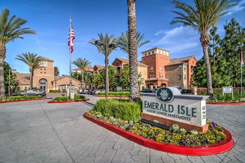 an exterior view of emerald isle with palm trees and an flag